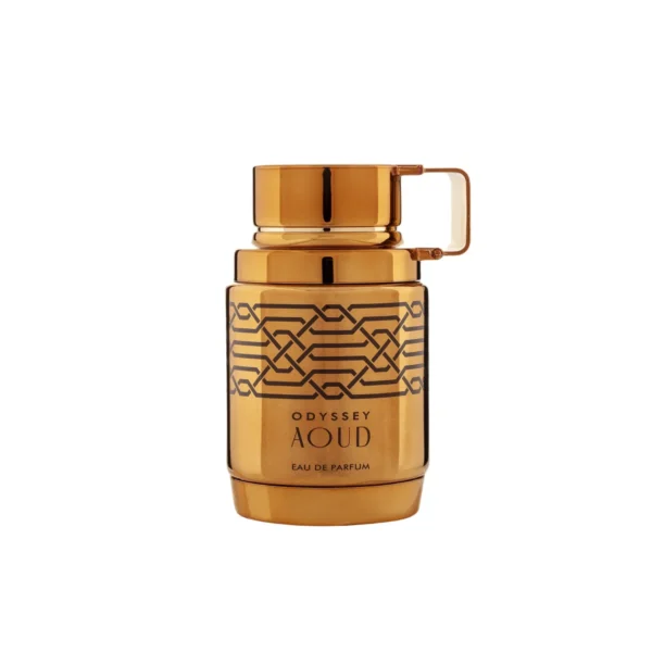 Oddyssey Aoud EDP 100 ml