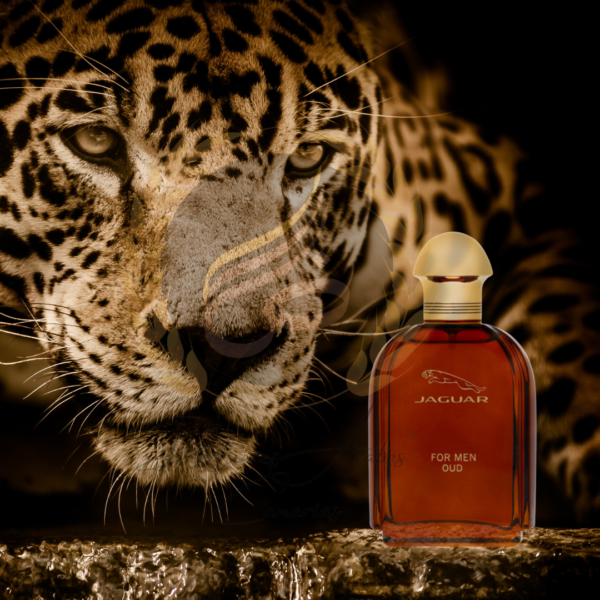 Jaguar For Men Oud EDP 100 ml - Imagen 2